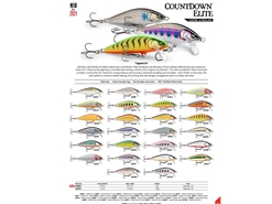 Rapala - Countdown Elite CDE55 - GILDED PARROT - Sinking Minnow | Eastackle