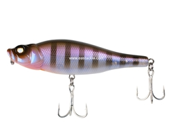 Whiplash Factory - Spittin' Wire - S14PLG - BANDED MINNOW - Floating Pencil Bait | Eastackle