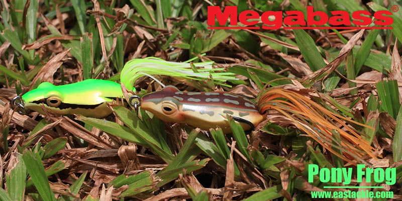 Megabass - Pony Frog - Floating Frog Bait | Eastackle