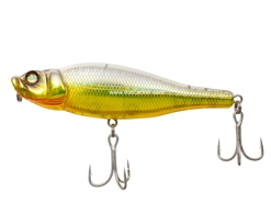 Whiplash Factory - Spittin' Wire - SS12RHG - GOLD BELLY SHINER - Floating Pencil Bait | Eastackle