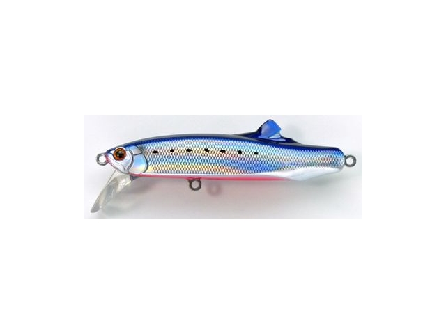 Tackle House - Contact Flitz 75 - SARDINE RED BELLY - Heavy Sinking Minnow | Eastackle